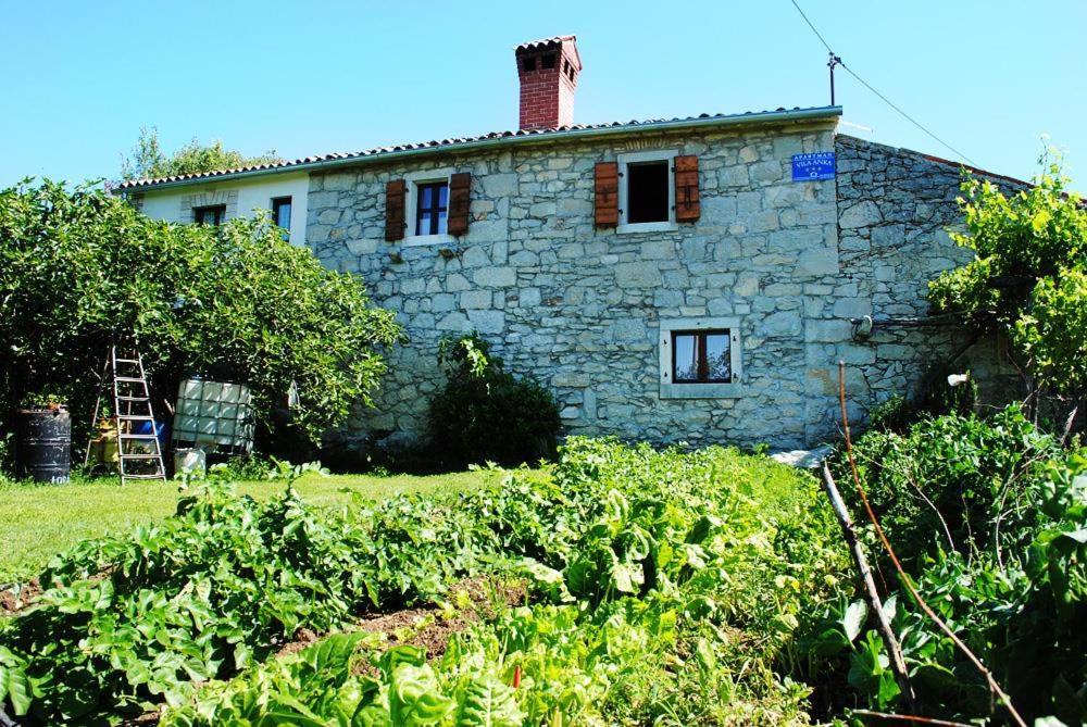 Villa Casa Anka Gračišće Esterno foto